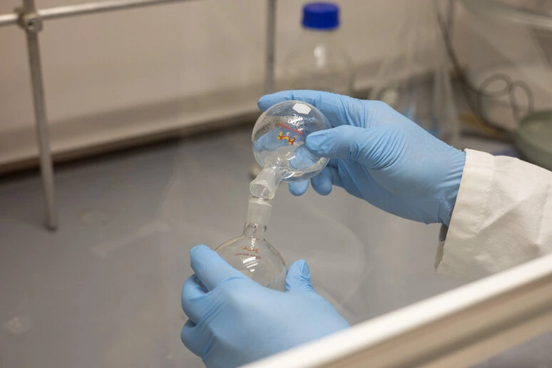 Tumori, allo studio nanoparticelle per un'immunoterapia universale
