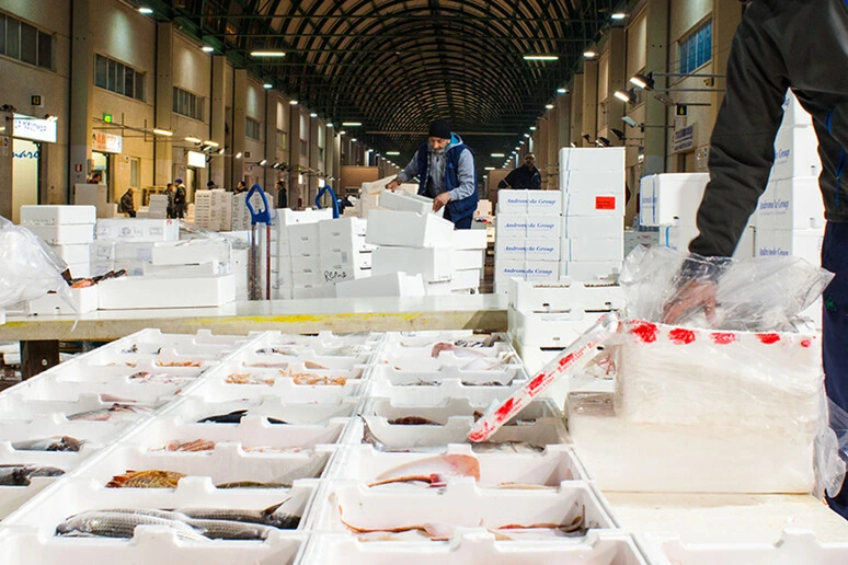 Aprile a tavola, stop a telline e poche vongole, fermo e clima dettano legge