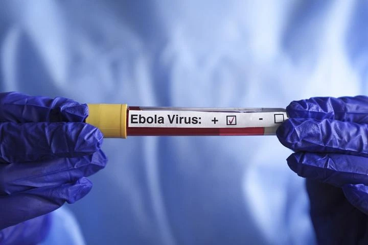 La postura de EEUU con sus ciudadanos expuestos al brote de ébola en África genera serias dudas: "Podría empeorar las cosas"