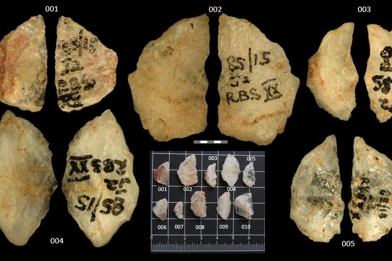 Scoperte le più antiche armi avvelenate, sono frecce di 60mila anni fa
