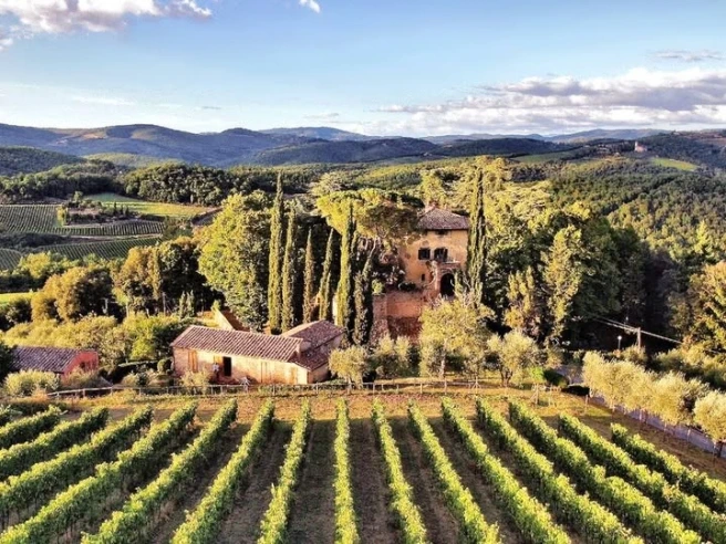 Chianti, un cinese in soccorso della fattoria Aiola: è la tenuta toscana degli amici russi di Medvedev