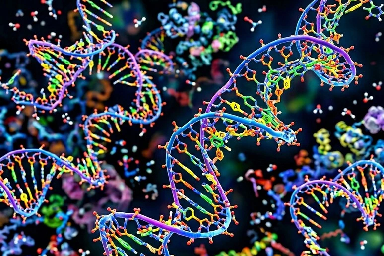 Vista la firma genetica dell'invecchiamento