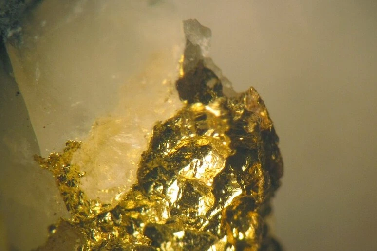 L'impatto di un meteorite potrebbe aver fatto piovere oro sull'Australia