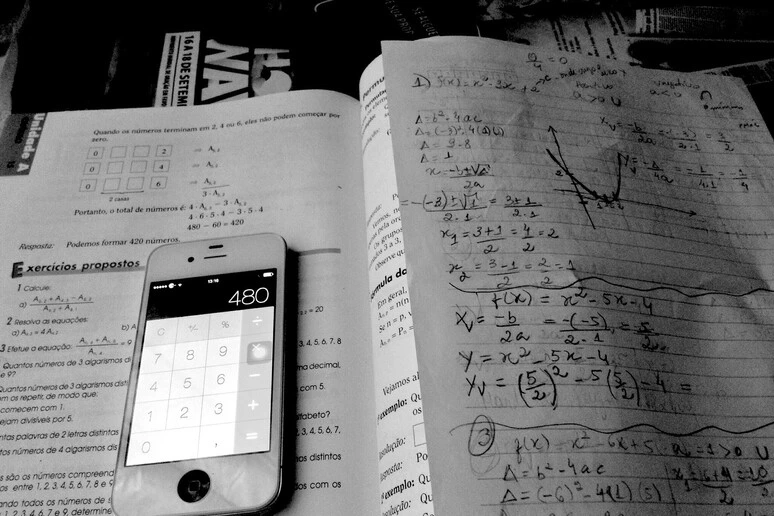 Prova di matematica alla maturità, 'Il problema del lago è forzato'