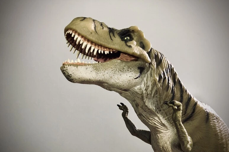 Le braccia corte del T. rex frutto di una diversa tecnica di caccia