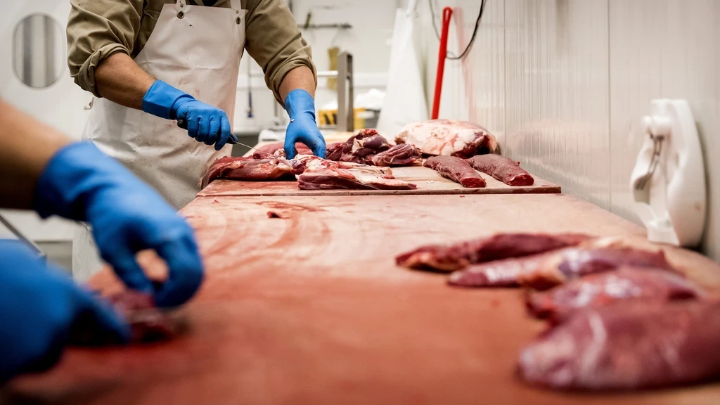 Vijlbrief dreigt met uitzendverbod voor vleessector