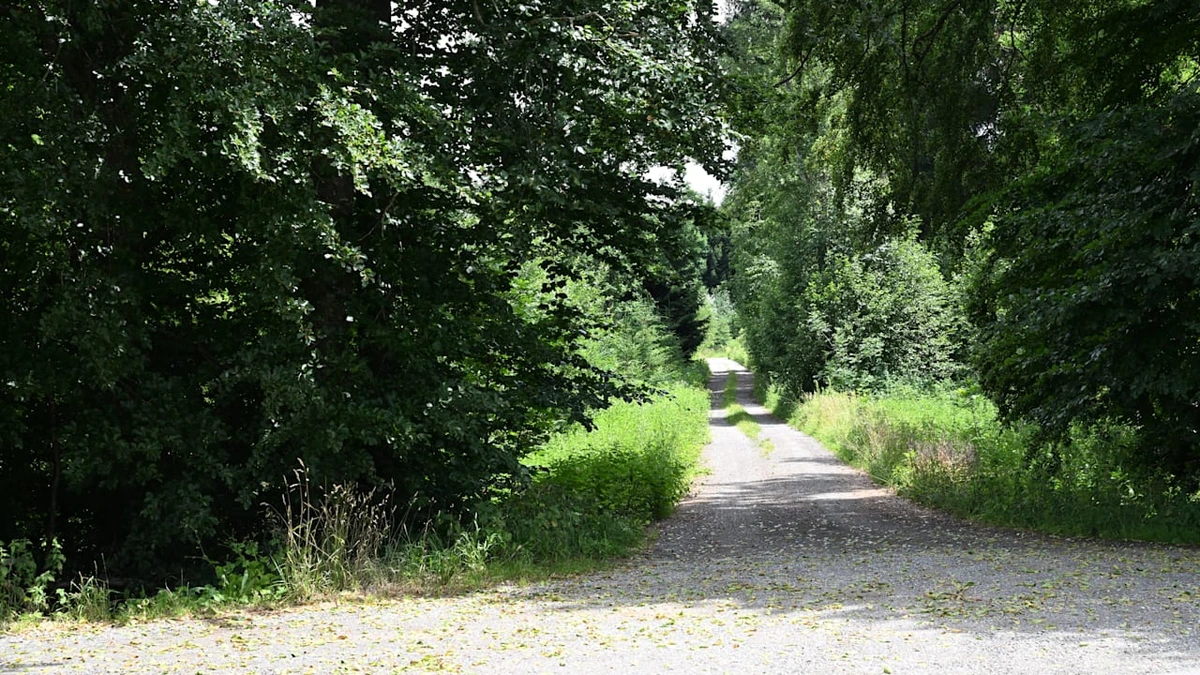Vor Dorf-Rathaus in Auto gezerrt: Pädokrimineller entführt und missbraucht Kind (9)