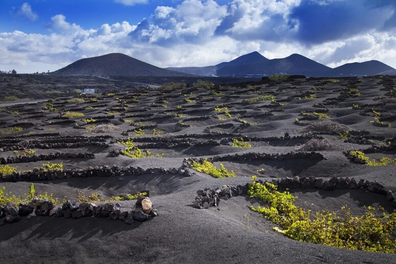 Lanzarote, dove vulcani, vento e oceano diventano sapori