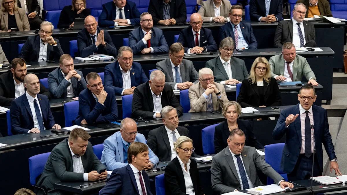 AfD: Offenbar 421.179 Mails nach Hackerangriff im Netz