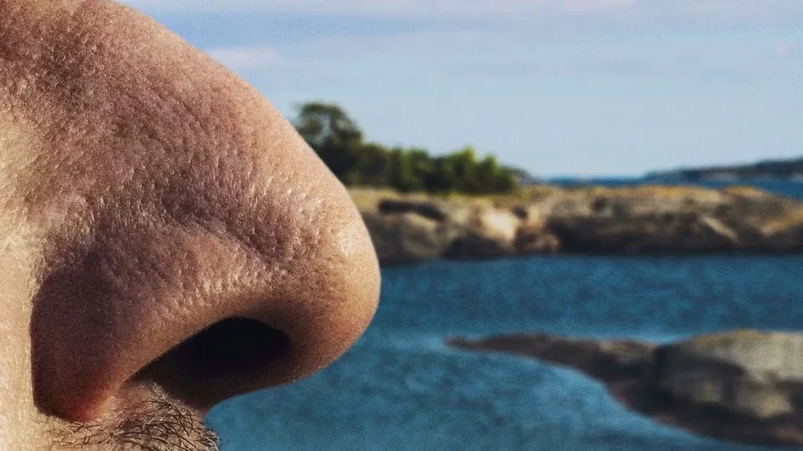 2000 Euro erhalten für Schnüffel-Urlaub: Würden Sie es machen?
