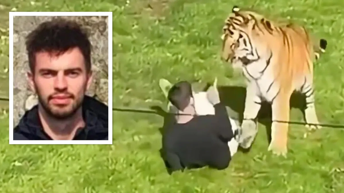 Familie meldet sich nach Tiger-Attacke: „Warum hat unser großartiger Sohn das getan?“